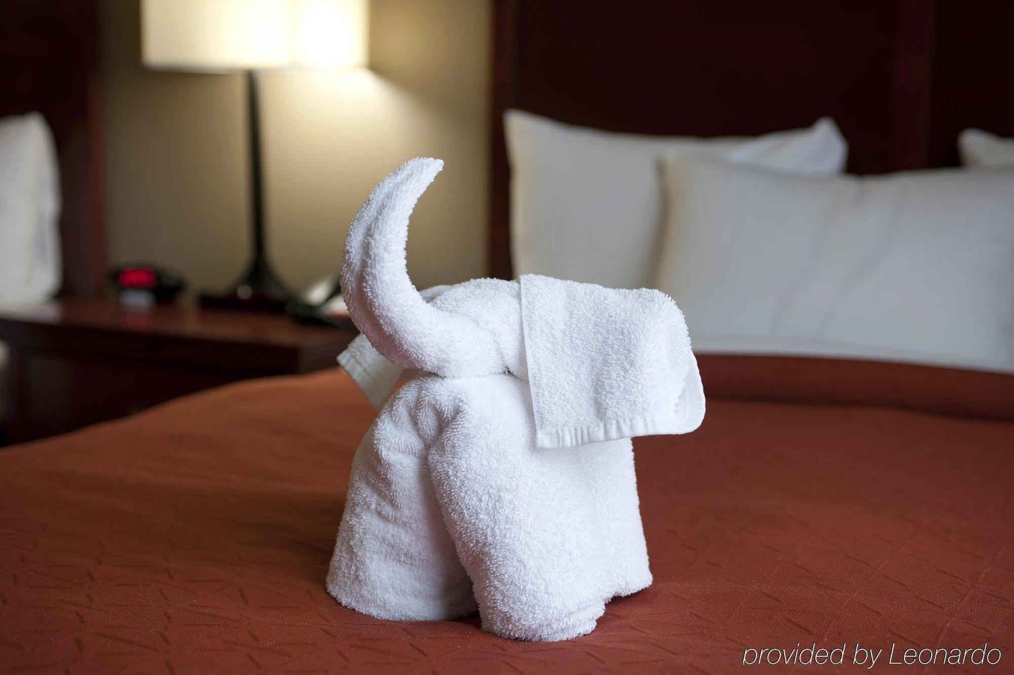 Seffner Inn And Suites Luaran gambar
